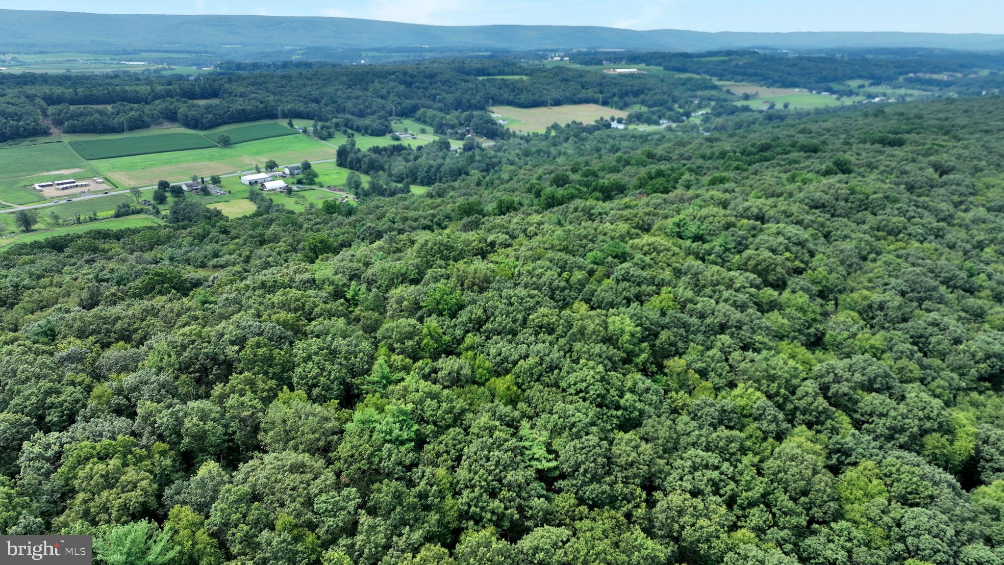 0 Long Run Road Pine Grove, PA 17963 - Photo 14 of 20 Gallery Image 14