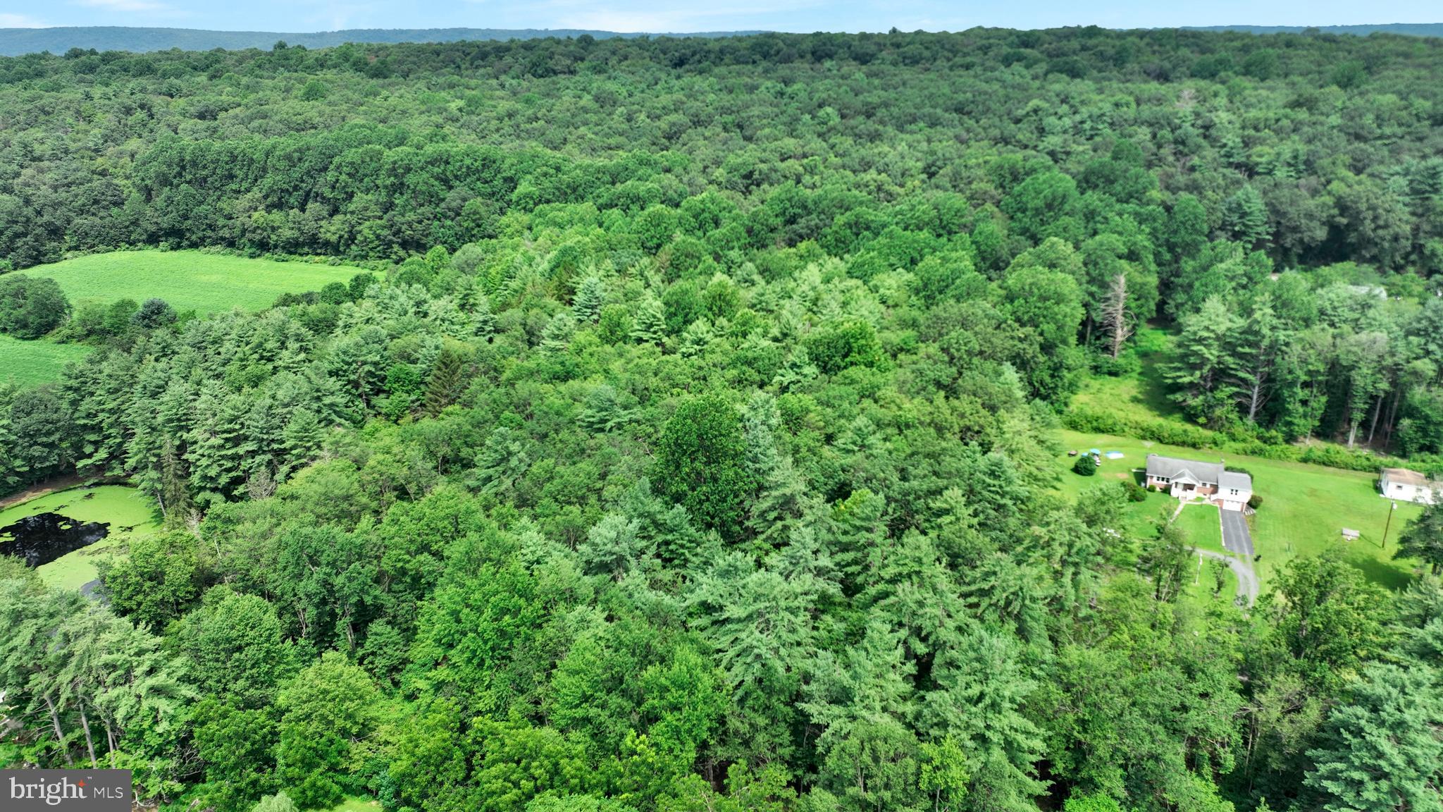 0 Long Run Road Pine Grove, PA 17963 - Photo 15 of 20 Gallery Image 15