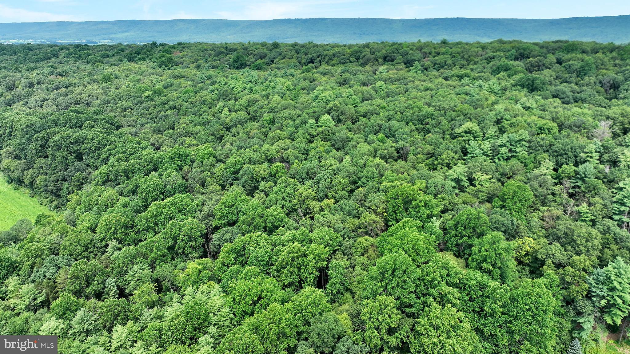 0 Long Run Road Pine Grove, PA 17963 - Photo 16 of 20 Gallery Image 16