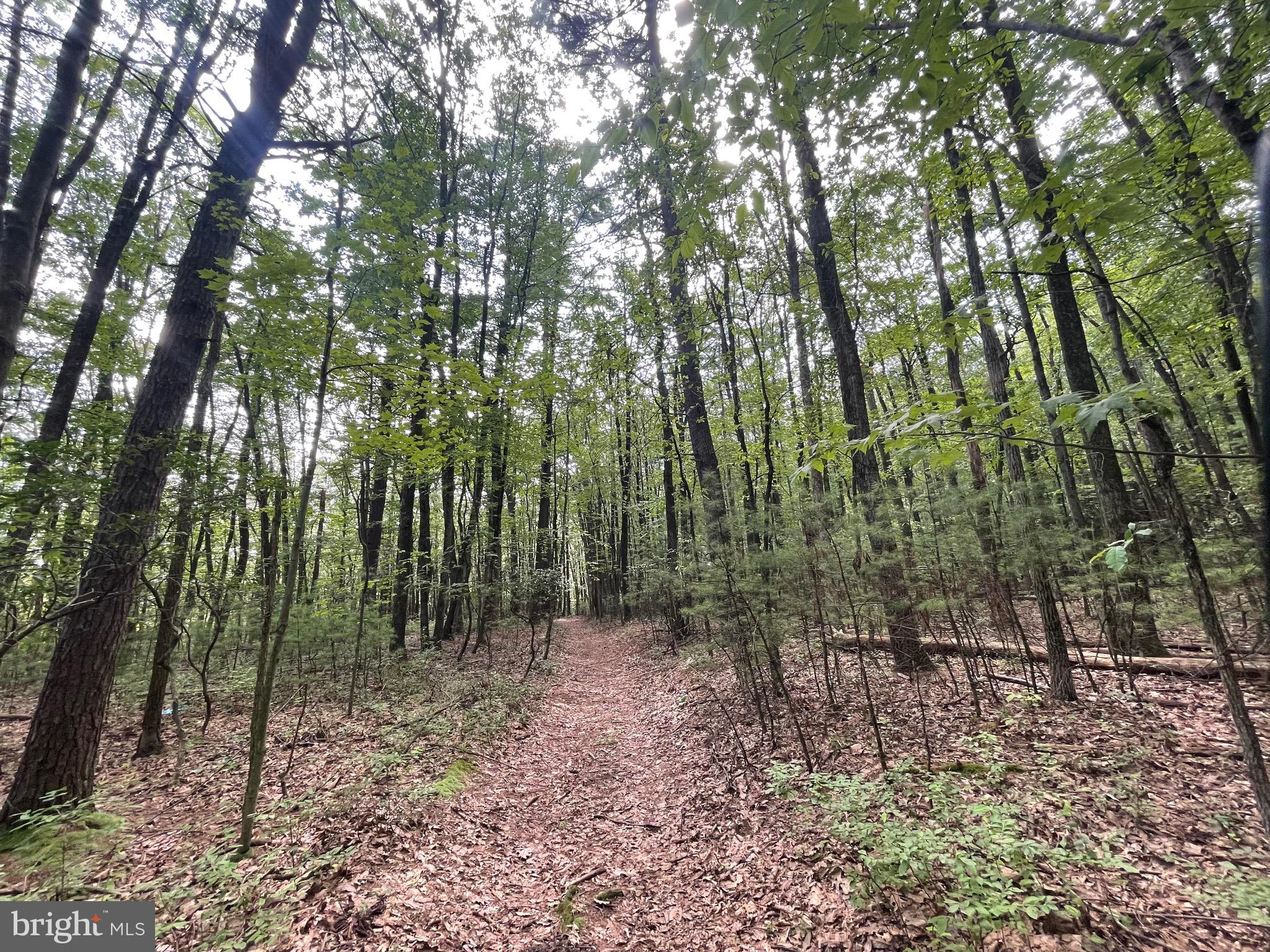 0 Long Run Road Pine Grove, PA 17963 - Photo 17 of 20 Gallery Image 17