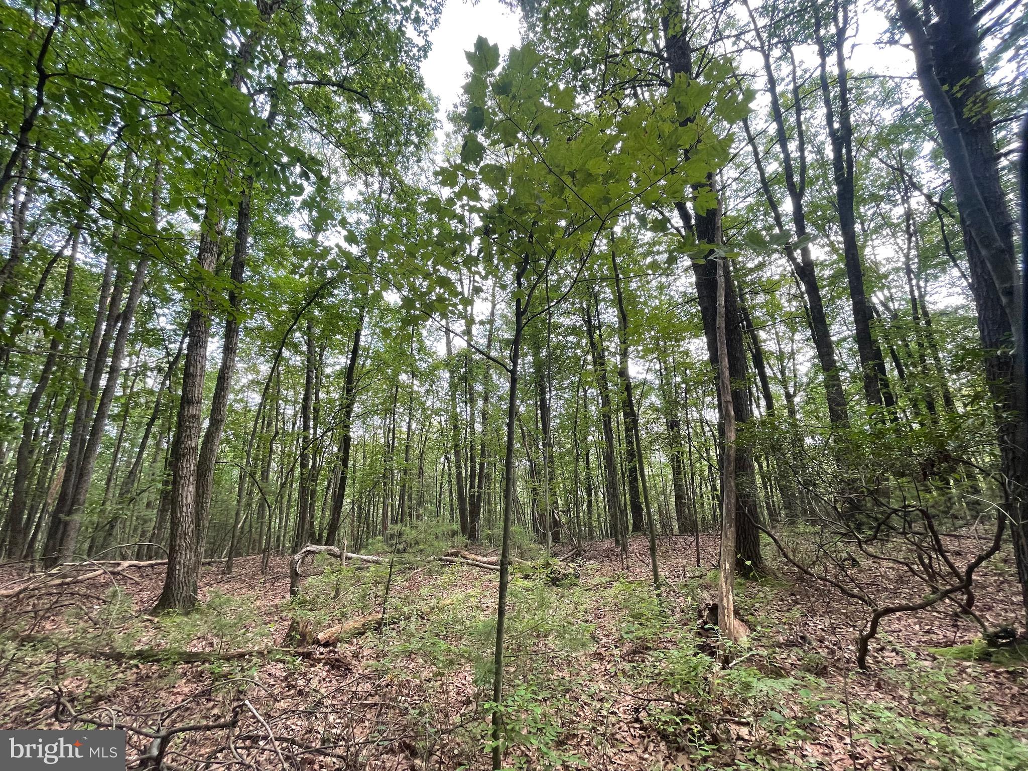 0 Long Run Road Pine Grove, PA 17963 - Photo 18 of 20 Gallery Image 18