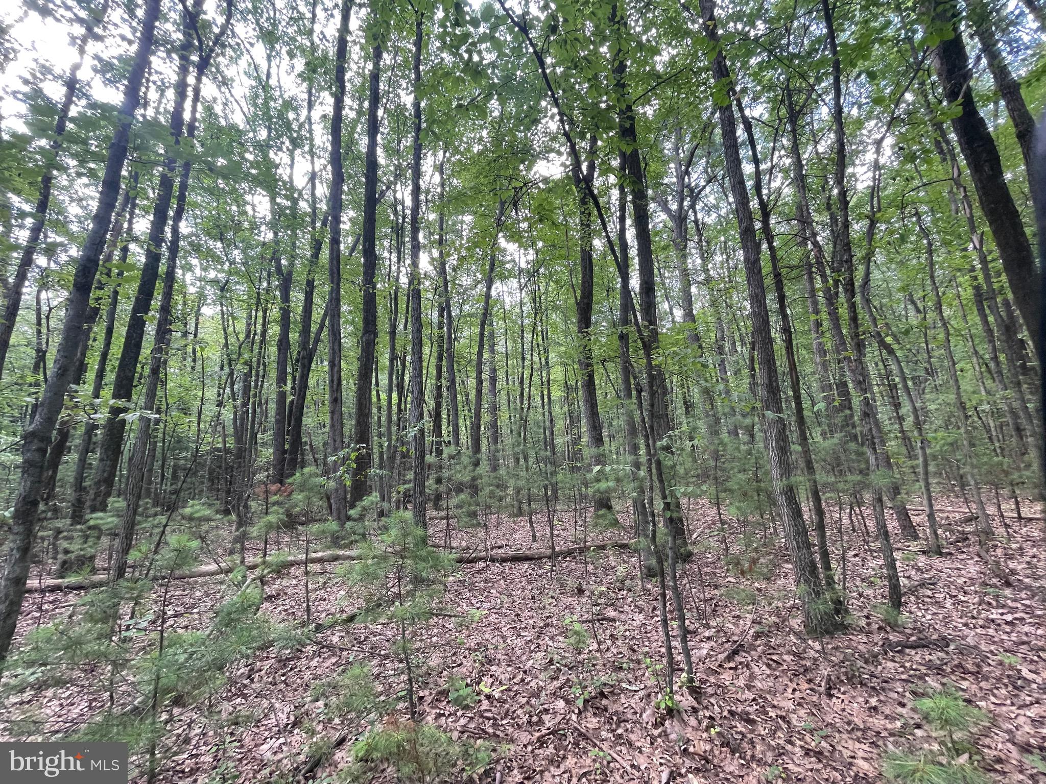 0 Long Run Road Pine Grove, PA 17963 - Photo 19 of 20 Gallery Image 19
