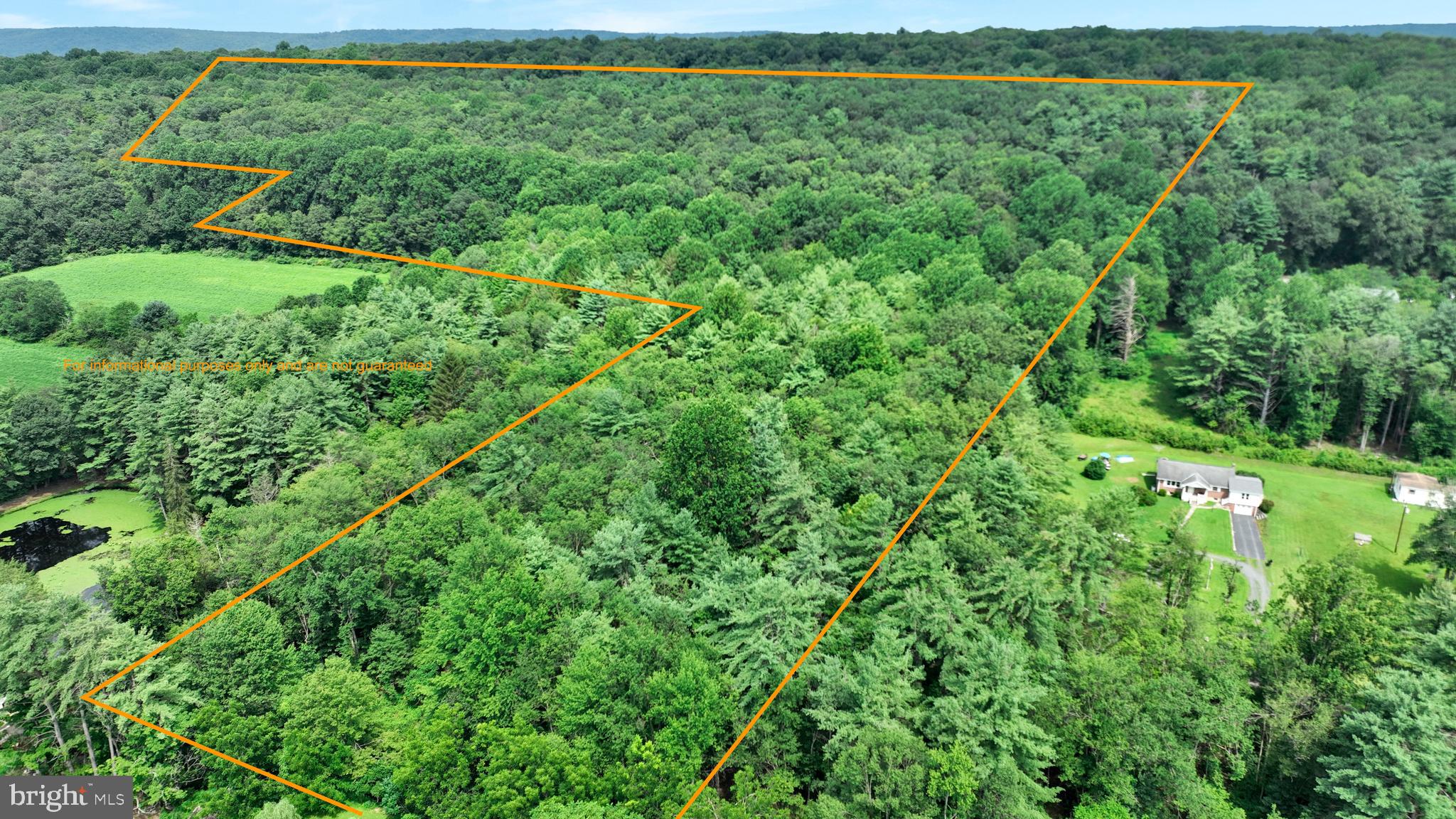0 Long Run Road Pine Grove, PA 17963 - Photo 2 of 20 Gallery Image 2