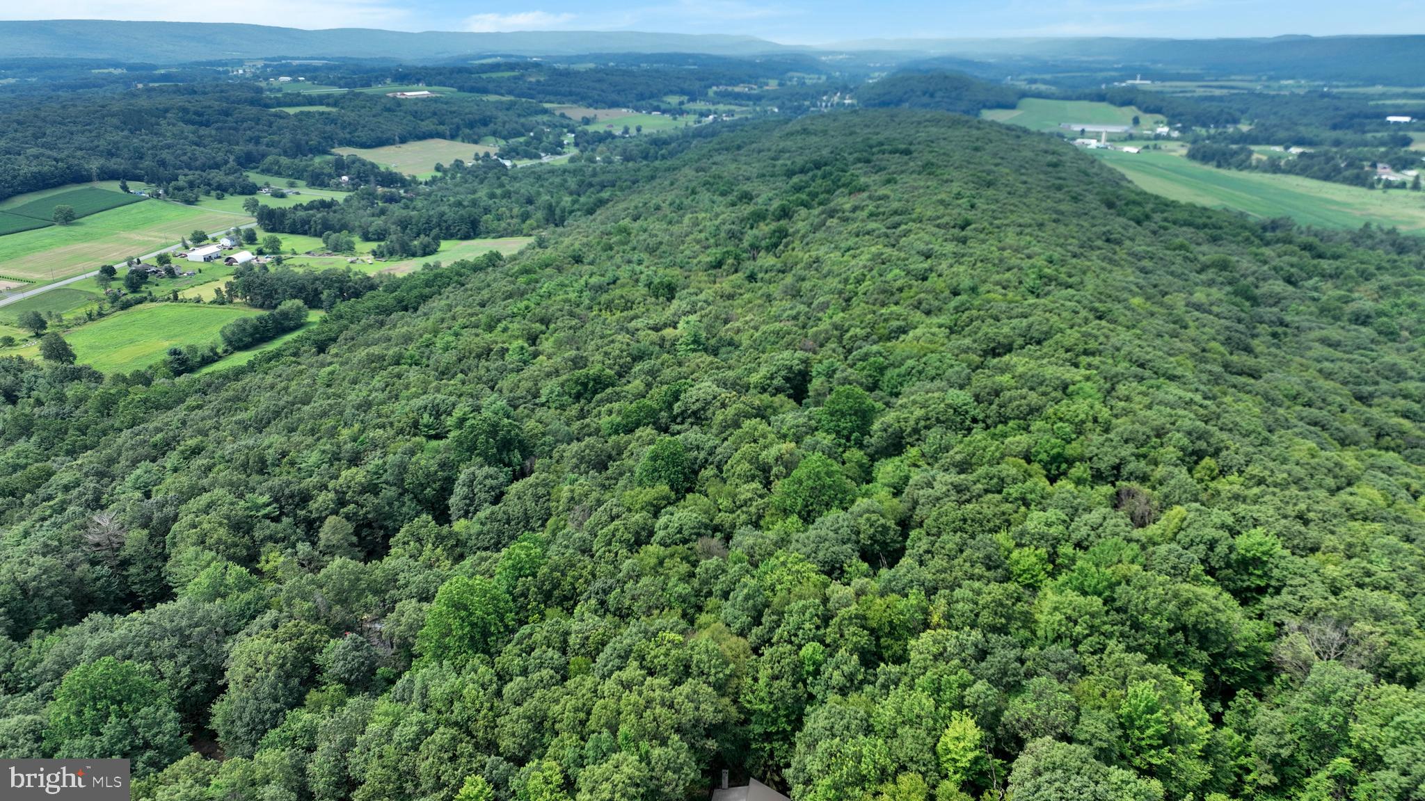 0 Long Run Road Pine Grove, PA 17963 - Photo 3 of 20 Gallery Image 3