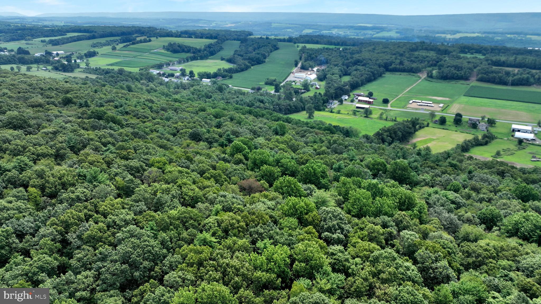 0 Long Run Road Pine Grove, PA 17963 - Photo 5 of 20 Gallery Image 5