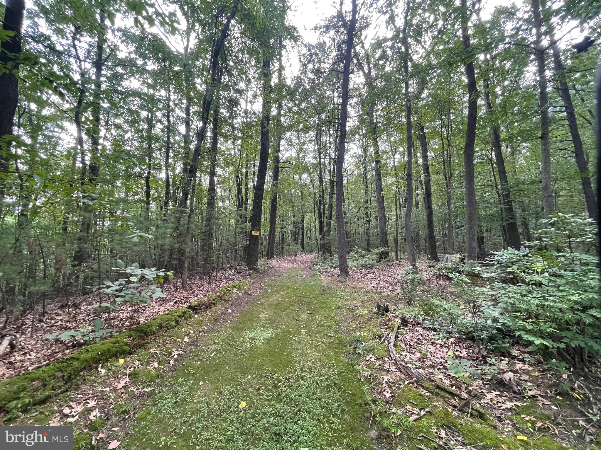 0 Long Run Road Pine Grove, PA 17963 - Photo 7 of 20 Entry to access road from Upper Fisher Lane.
