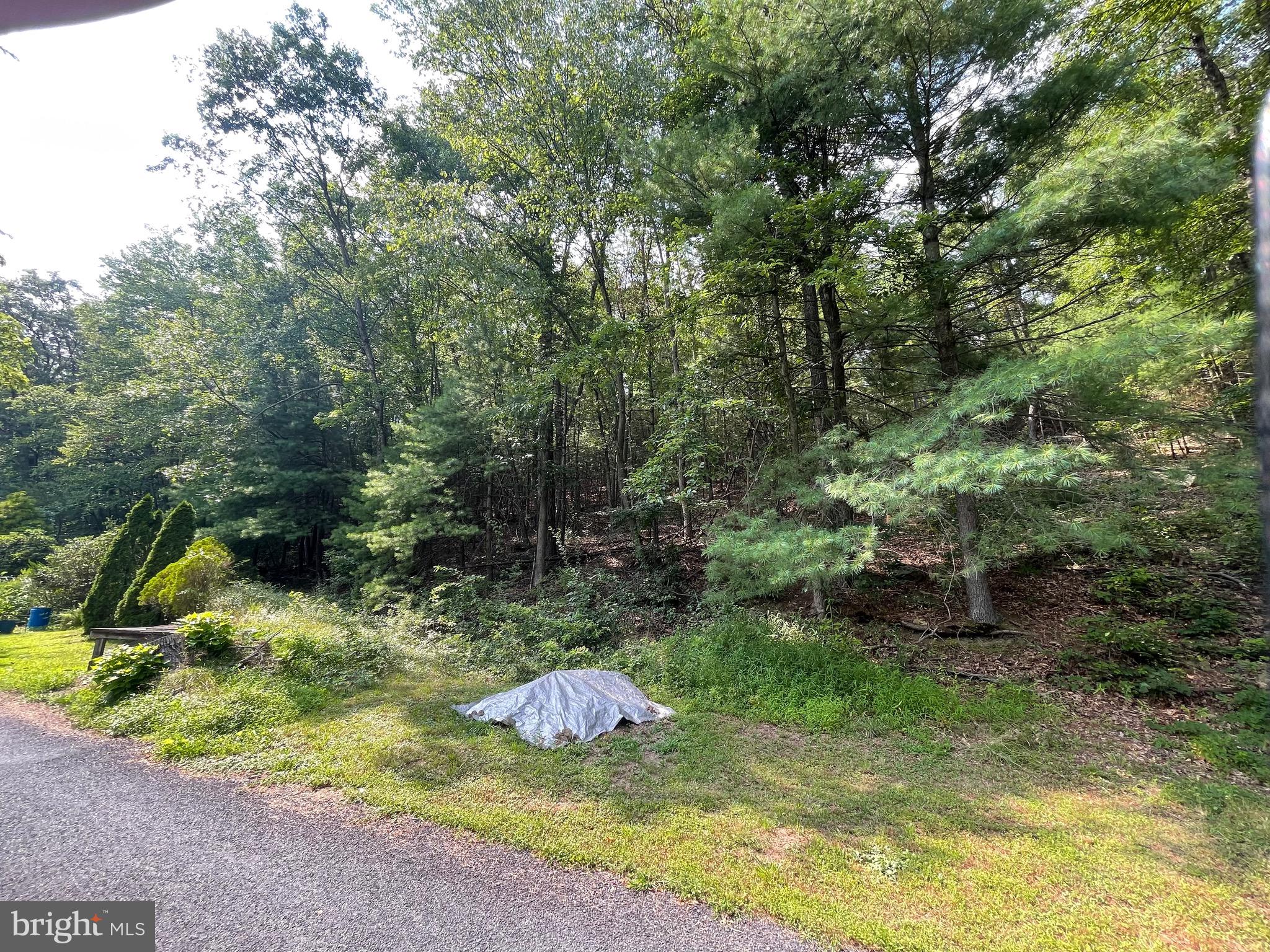 0 Long Run Road Pine Grove, PA 17963 - Photo 10 of 20 Point to enter access road from Fisher Rd.