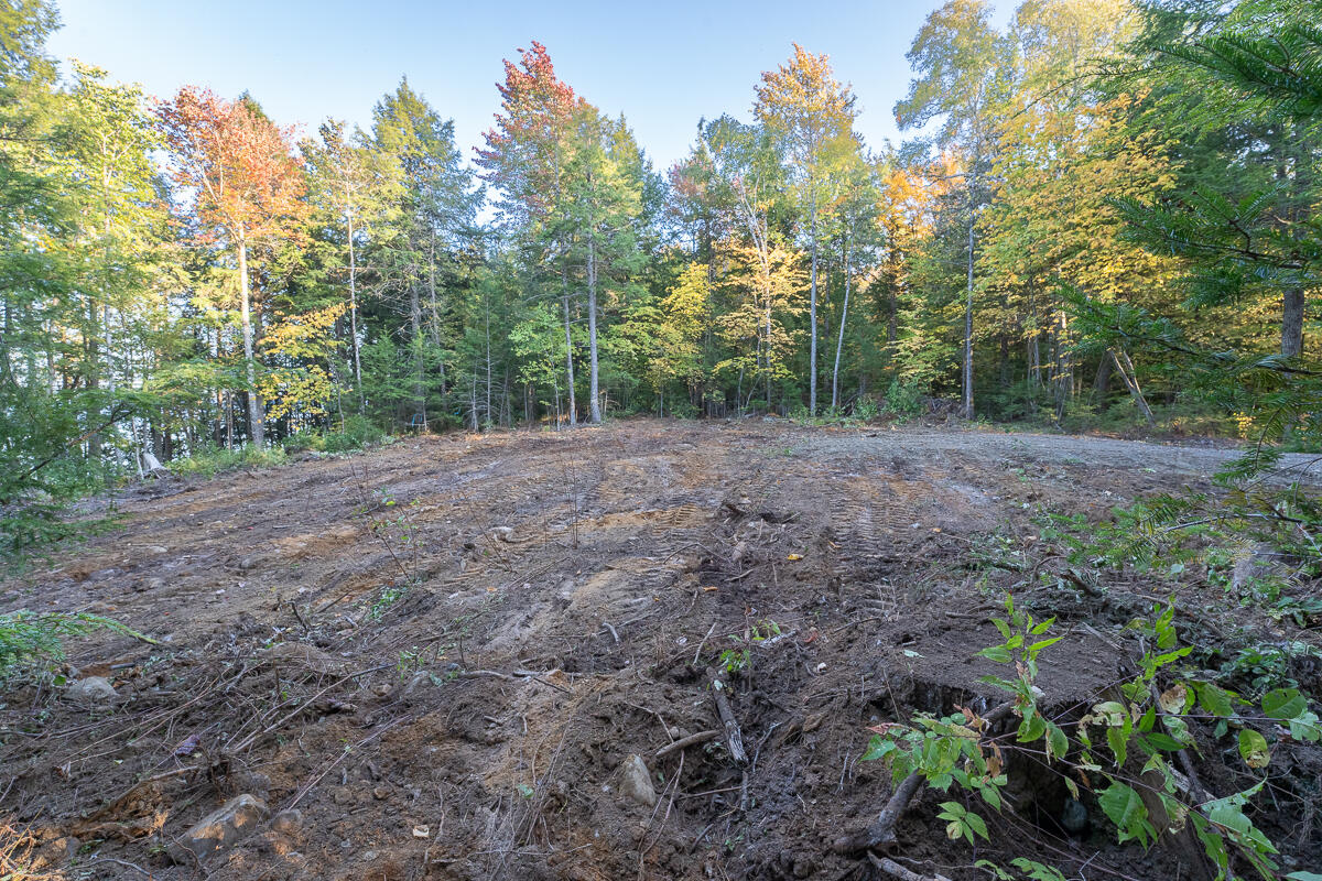 Lot 4 Chadwick Pt Road Weston, ME 04424 - Photo 15 of 30 DSC06867