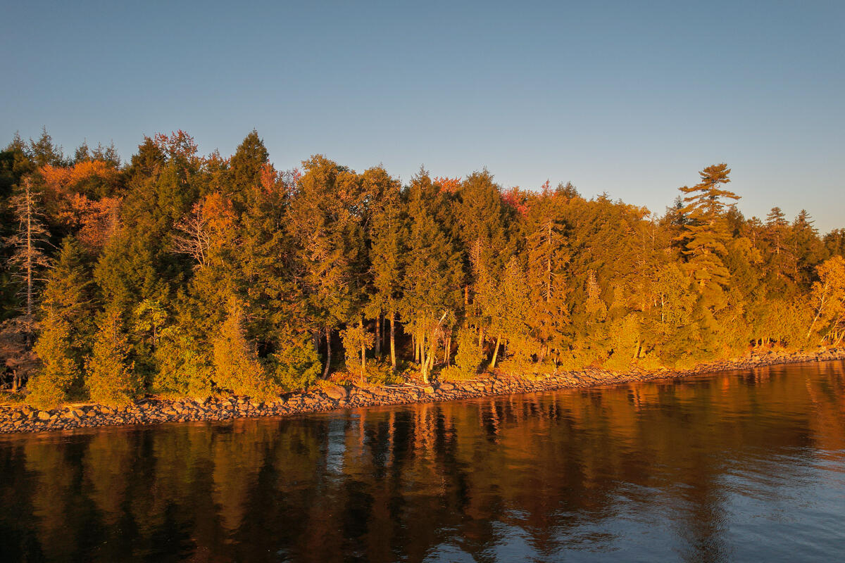 Lot 4 Chadwick Pt Road Weston, ME 04424 - Photo 4 of 30 DJI_0308