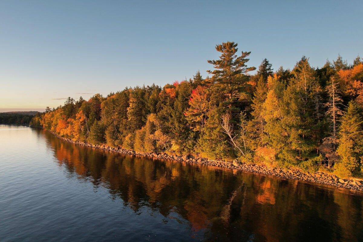 Lot 4 Chadwick Pt Road Weston, ME 04424 - Photo 5 of 30 DJI_0310