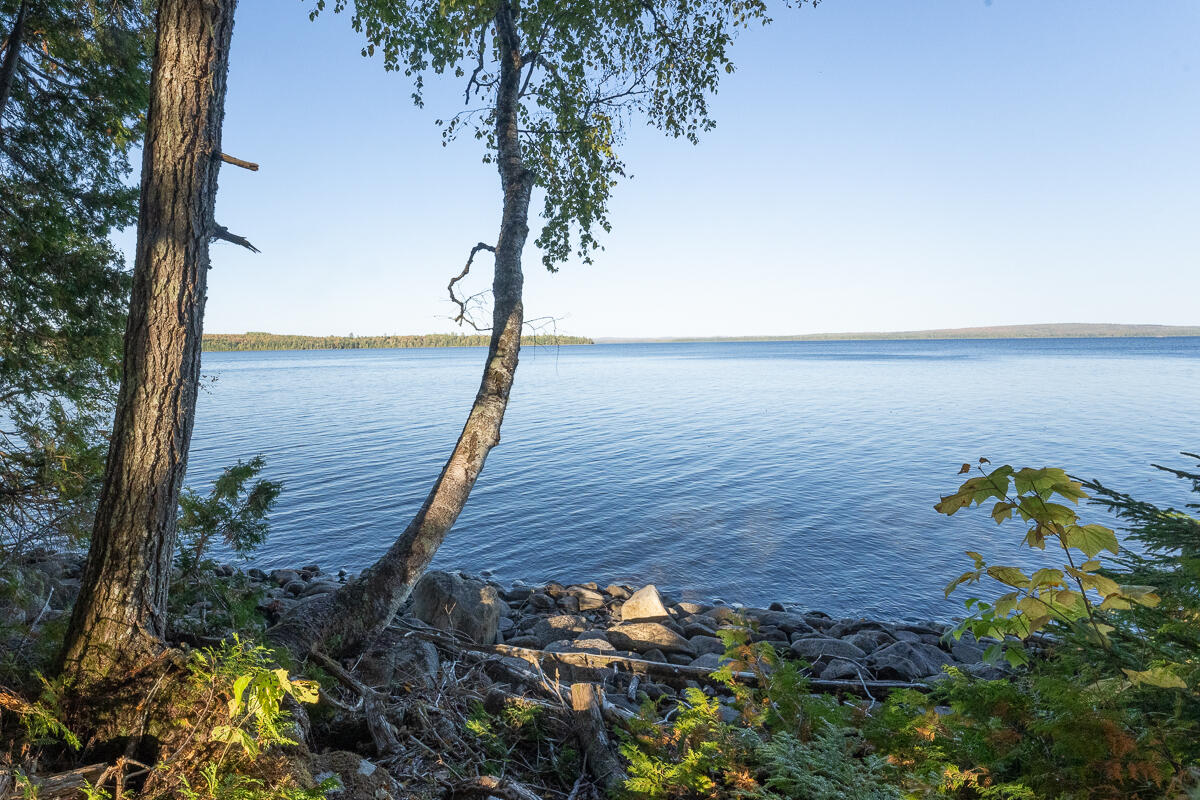 Lot 4 Chadwick Pt Road Weston, ME 04424 - Photo 8 of 30 DSC06838