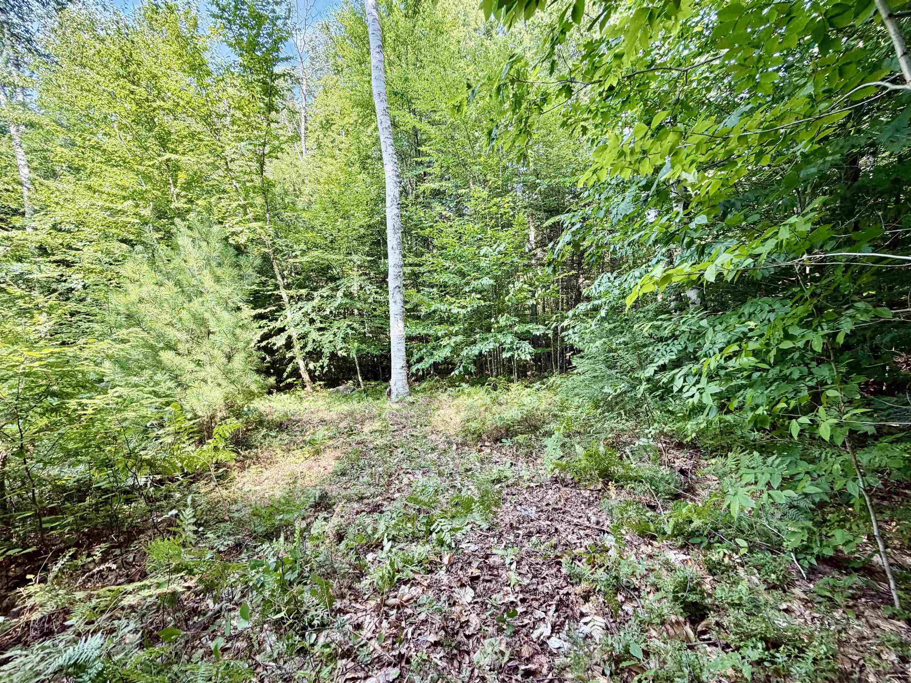 Lee Brook Road Thornton, NH 03285 - Photo 9 of 10 Gallery Image 9