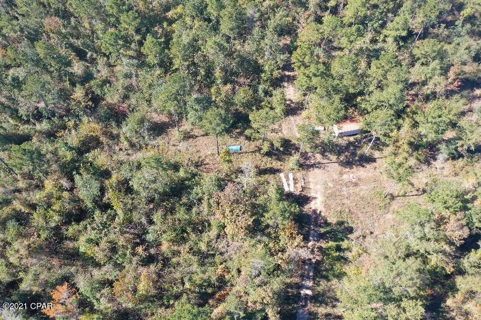 3825 River Road Sneads, FL 32460 - Photo 9 of 25 Gallery Image 9