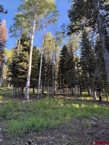 a view of outdoor space with garden and trees