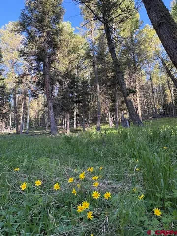 a green field with lots of flowers and trees