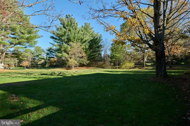 a view of green field with trees