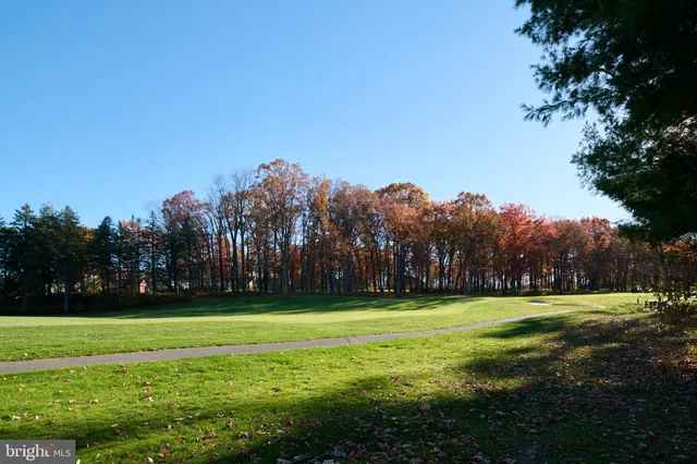 a view of a grassy field with trees