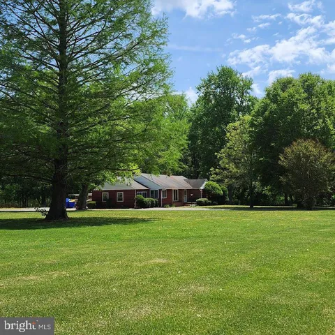 a view of a park with large trees