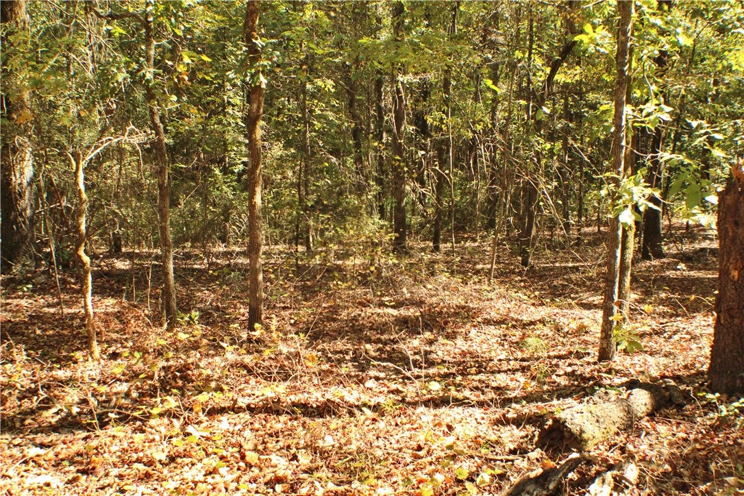 5583 Sandfort Road Seale, AL 36875 - Photo 19 of 20 Gallery Image 19