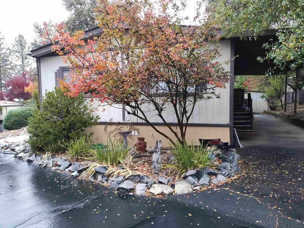 a view of a pathway both side of house