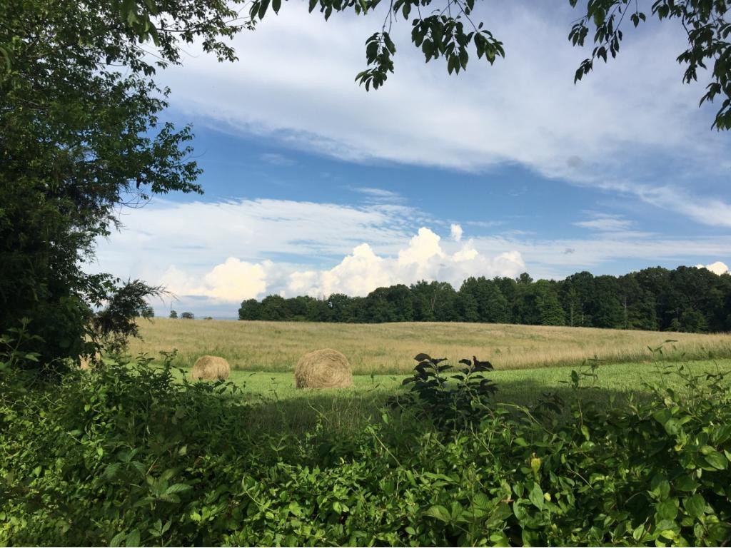 700 Cannon Road Limestone, TN 37681 - Photo 1 of 1 Photo 1