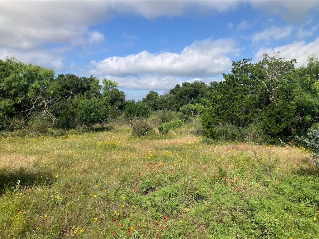 4605 West Ranch Road Mason, TX 76856 - Photo 22 of 26