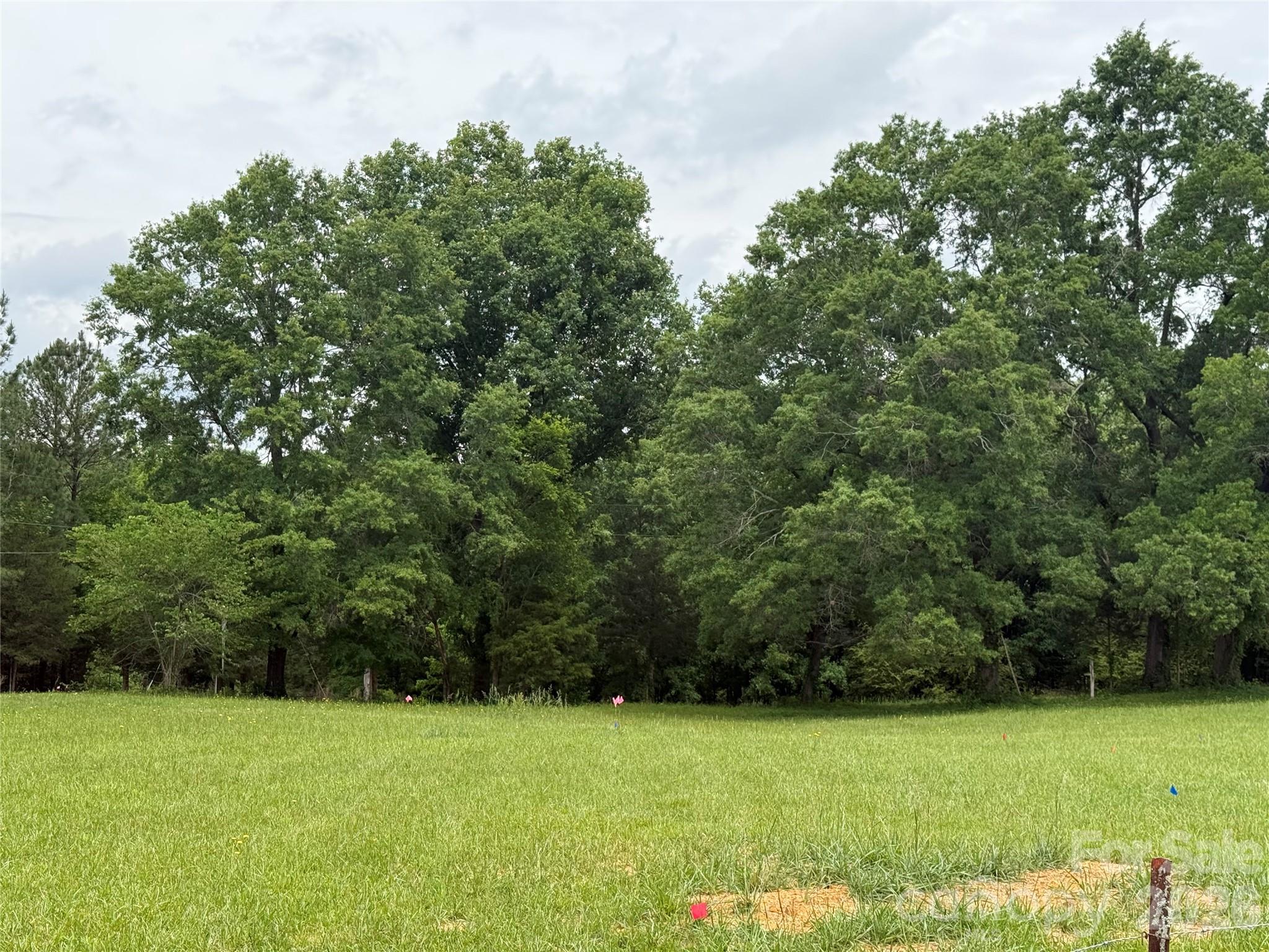 6713 Rebel Road, Unit 13A Marshville, NC 28103 - Photo 17 of 21