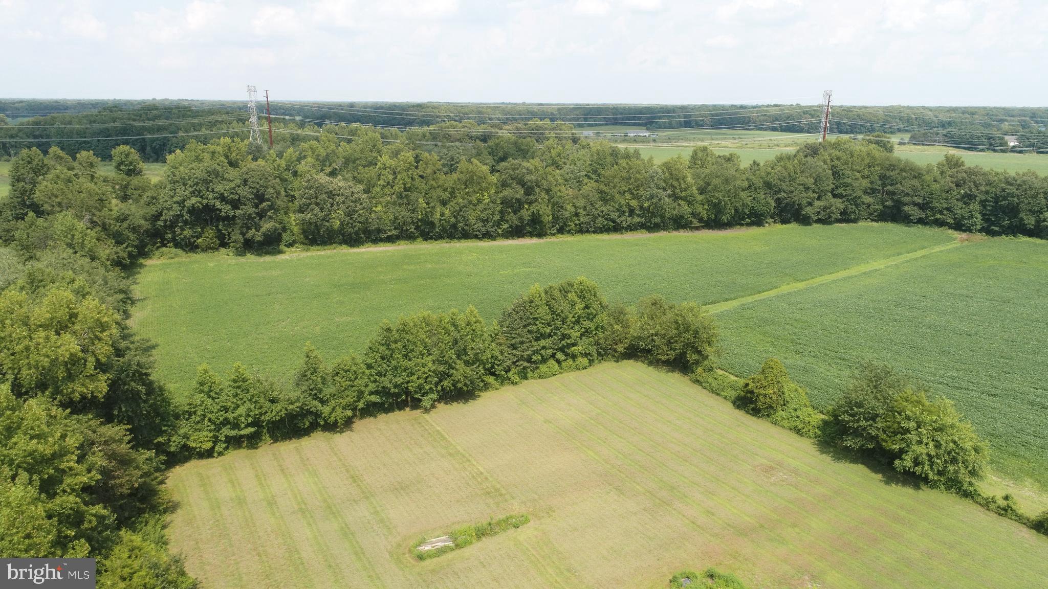 25980 Shults Road Henderson, MD 21640 - Photo 36 of 51 Gallery Image 36