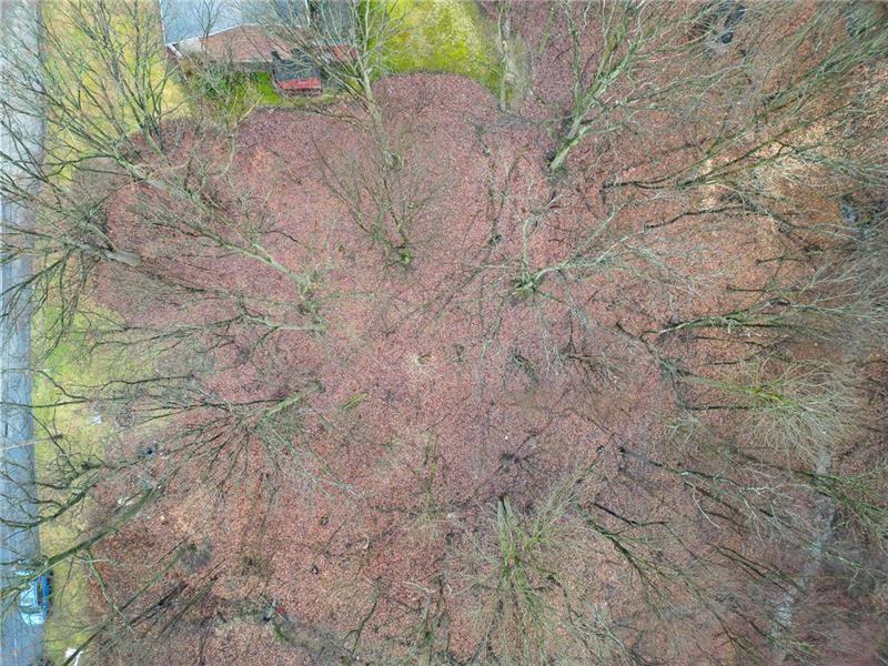 0 Front Road Monaca, PA 15061 - Photo 2 of 7 a backyard of a house with lots of green space