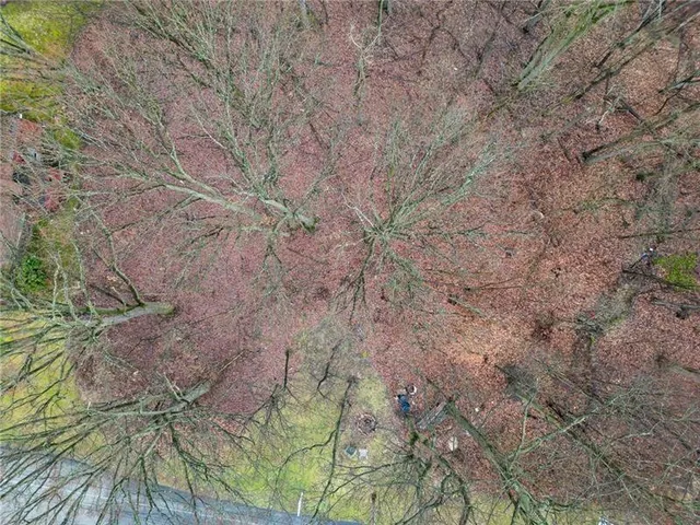 a backyard of a house with lots of plants and trees