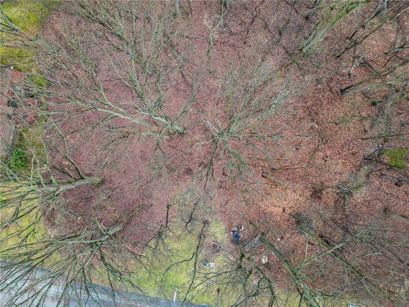 0 Front Road Monaca, PA 15061 - Photo 7 of 7 a backyard of a house with lots of plants and trees