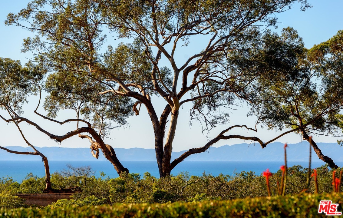 660-660 Hot Springs Road Santa Barbara, CA 93108 - Photo 16 of 18