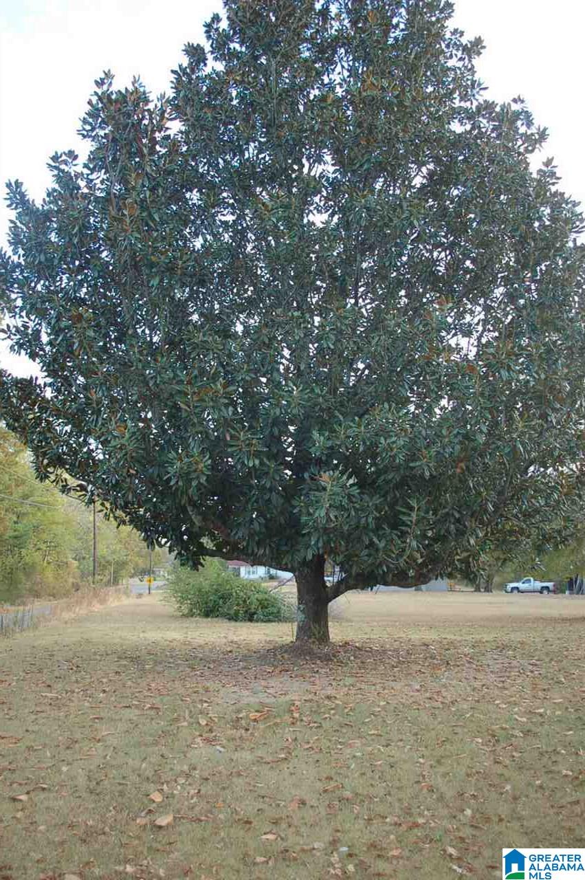9950 Corner School Road Warrior, AL 35180 - Photo 19 of 20