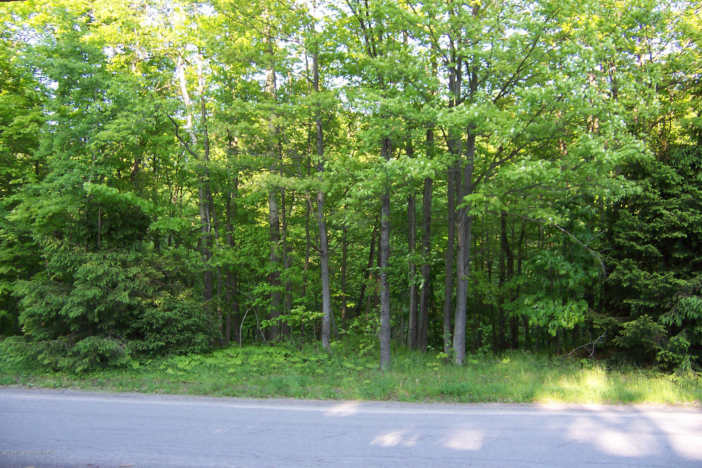 1695 Ararat Road Thompson, PA 18465 - Photo 12 of 15 Gallery Image 12