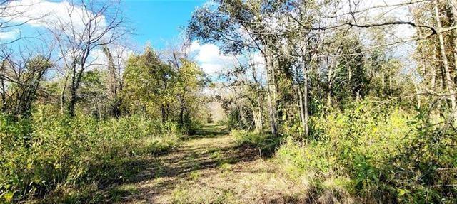 778 Little River Road Cloutierville, LA 71416 - Photo 8 of 9 Gallery Image 8
