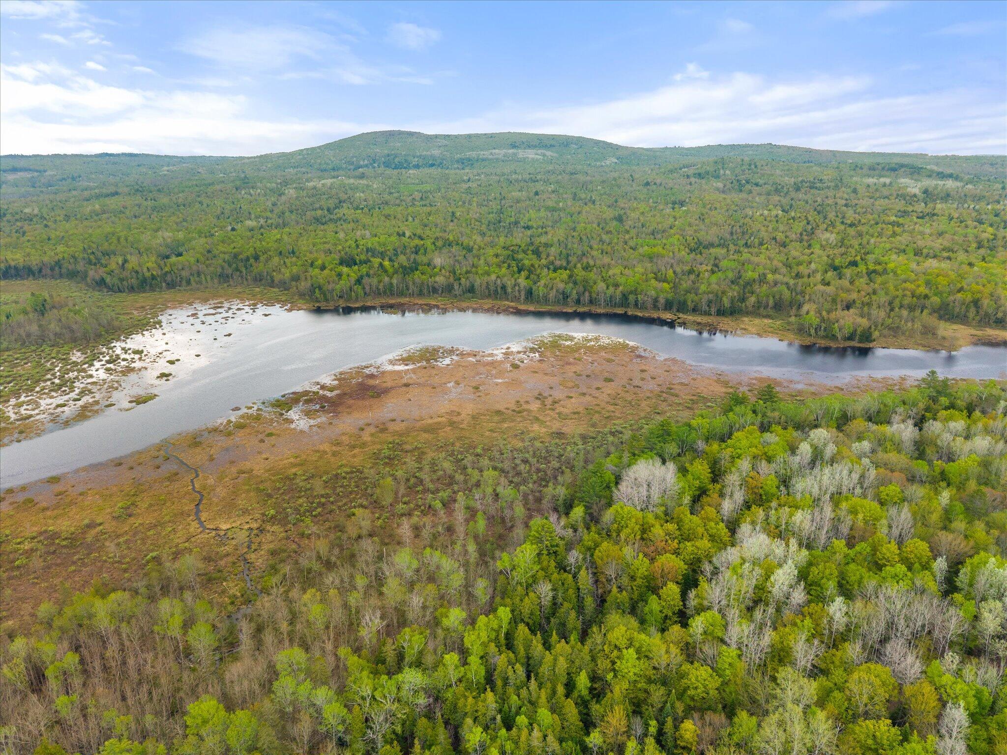 358 Cambridge Road Harmony, ME 04942 - Photo 43 of 53 Water Frontage, looking South