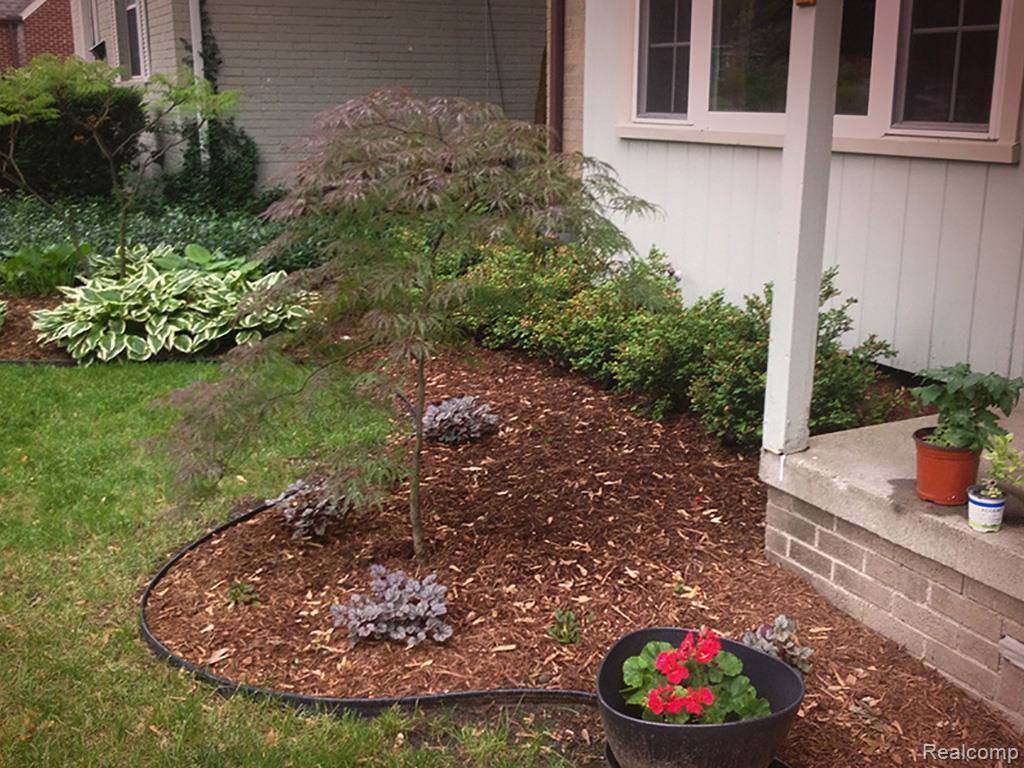 164 Maplefield Road Pleasant Ridge, MI 48069 - Photo 25 of 34 yard lg 3.jpg