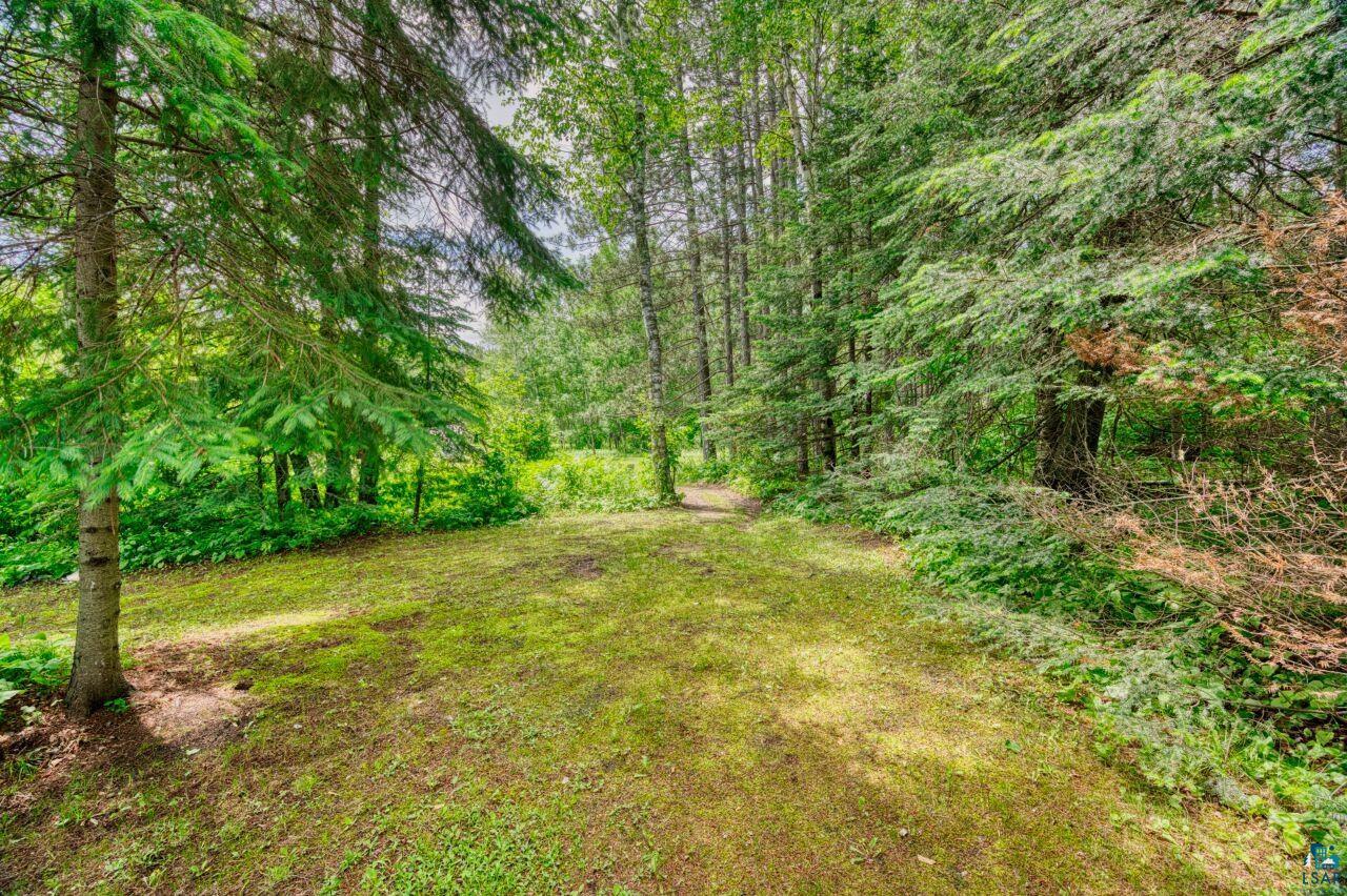 3935 Saari Road Hibbing, MN 55746 - Photo 40 of 48 View of yard