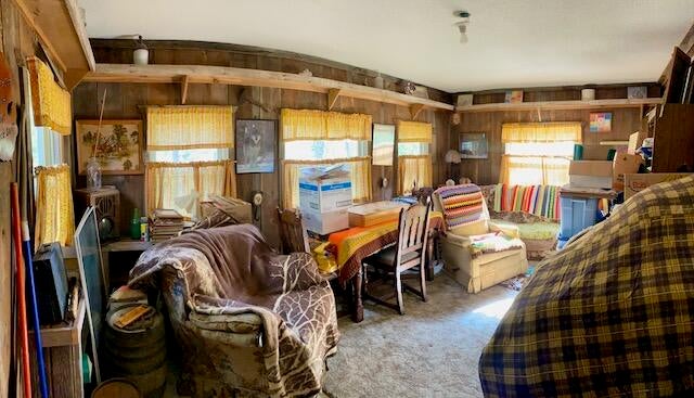 2579 Mc Kinley Road Mio, MI 48647 - Photo 22 of 48 Gallery Image 22