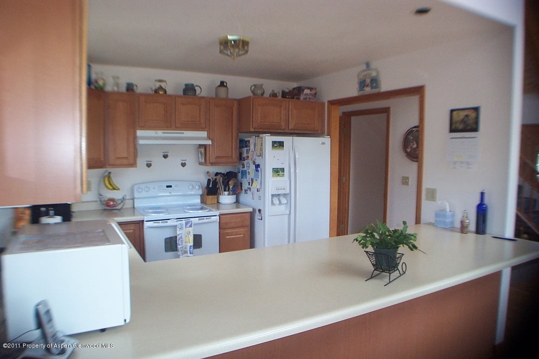 496 County Road 251 Rifle, CO 81650 - Photo 3 of 13 Kitchen