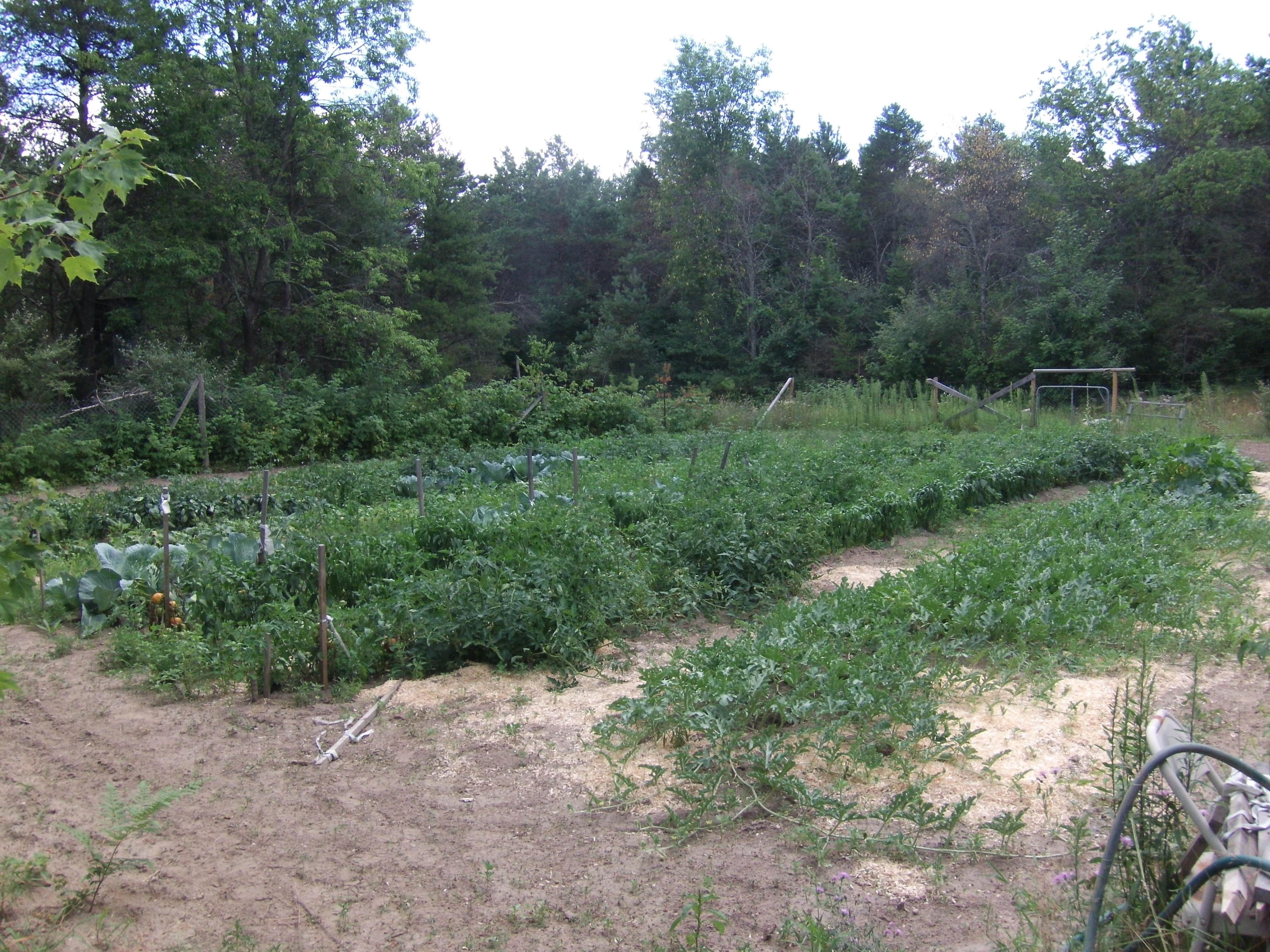 3040 McNeil Road Lincoln, MI 48742 - Photo 25 of 29 Gallery Image 25
