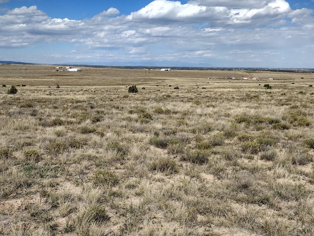 Lot 6 Long Ridge Trail Rye, CO 81069 - Photo 9 of 32