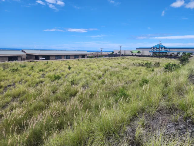 a view of a big yard with a garden