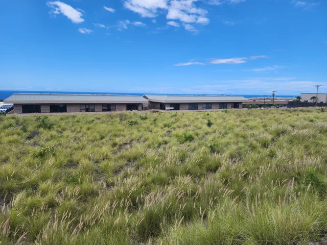 a view of a yard with an trees