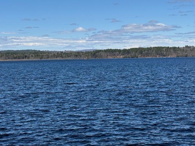 320 Redcedar Lane Sidney, ME 04330 - Photo 7 of 59 Messalonskee Lake