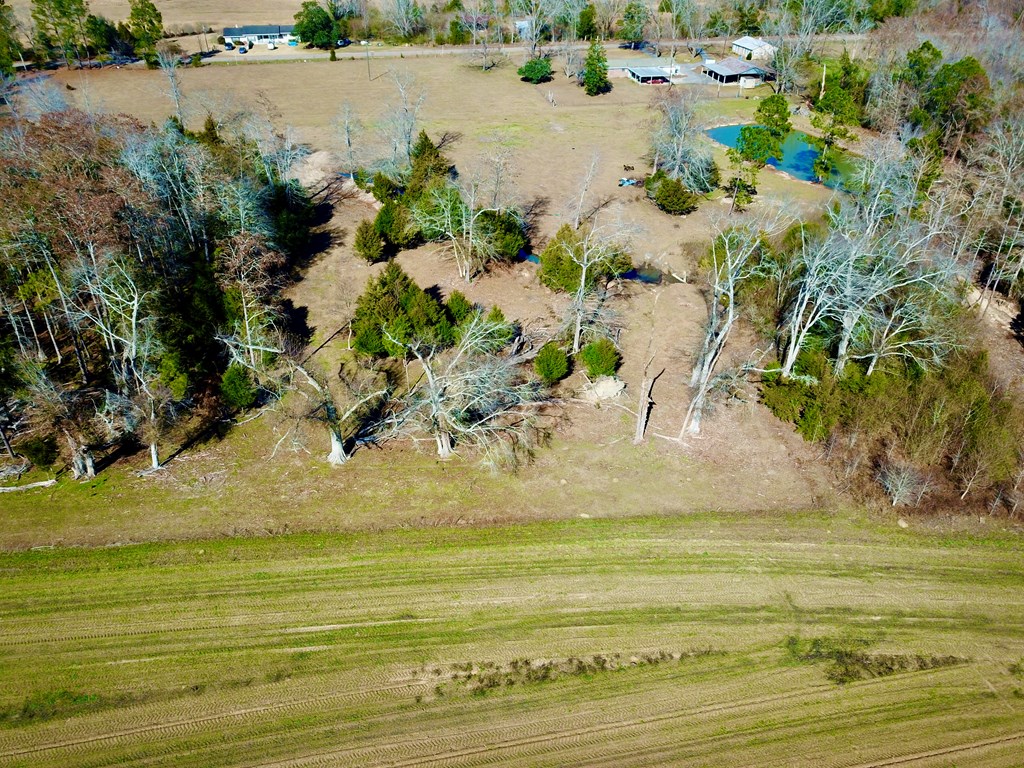 12.7-acres Nobles Road Dothan, AL 36301 - Photo 16 of 41
