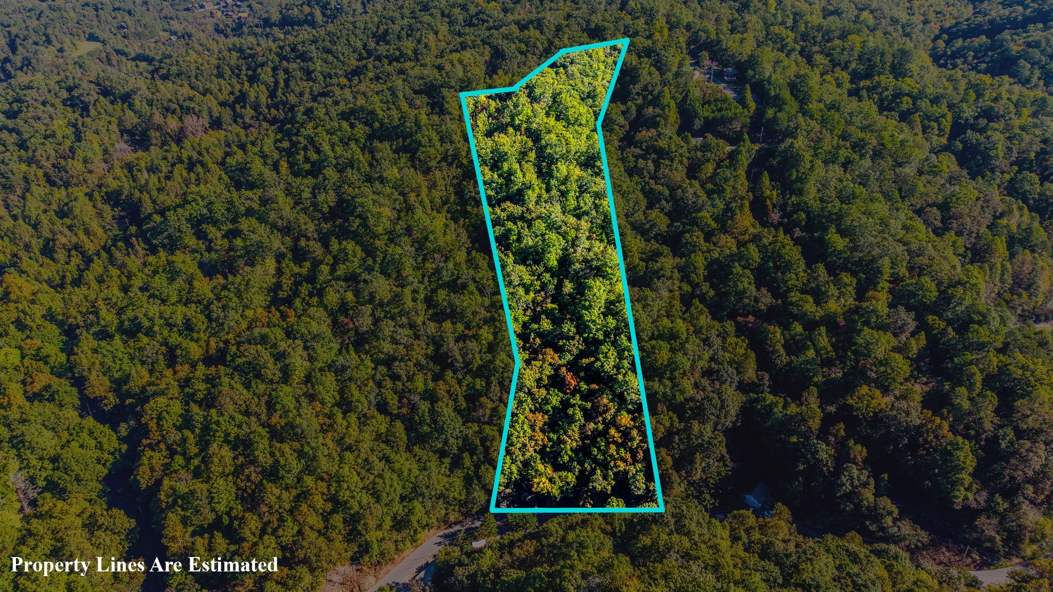 429 King Branch Road Sevierville, TN 37876 - Photo 13 of 13 Gallery Image 13
