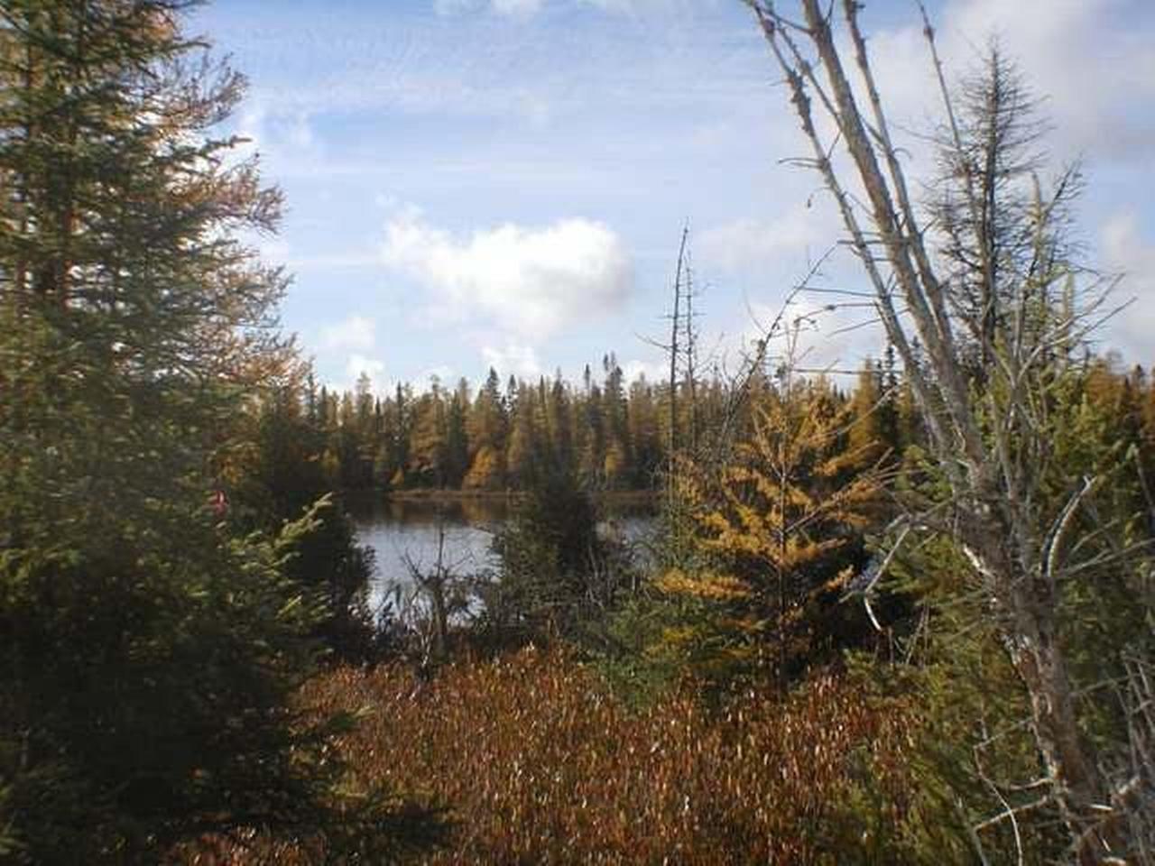 On Fire Lane Road Conover, WI 54519 - Photo 10 of 13 Gallery Image 10