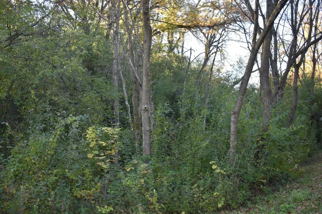 $250,000 | 5500 Rowland Road, Minnetonka, MN 55343