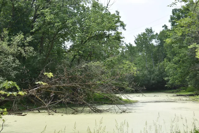 $250,000 | 5500 Rowland Road, Minnetonka, MN 55343